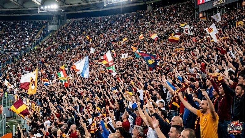 khan-dai-san-van-dong-stands